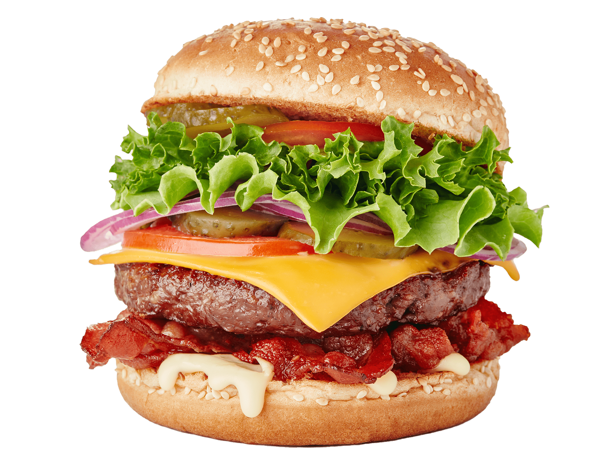 Ozkan's Grill burger